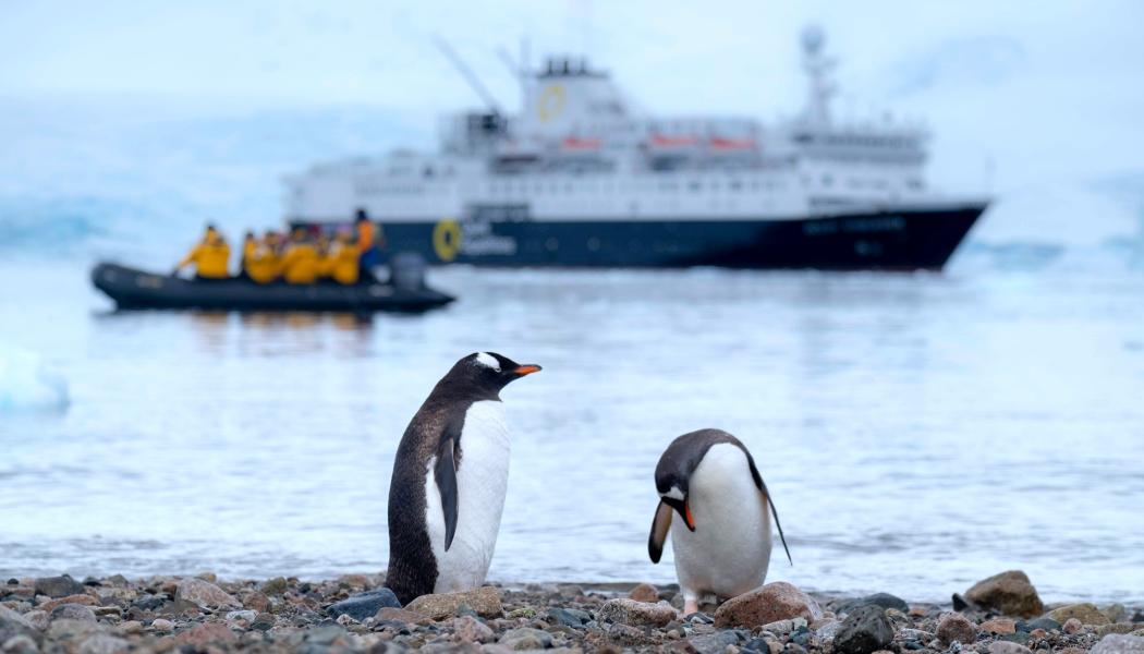 Regeringen tar nästa steg med konkreta åtgärder för att kunna ge svenska polarforskare tillgång till ett modernt klimatneutralt polarforskningsfartyg med förmåga att bedriva verksamhet och forskningsexpeditioner i Högarktis och runt Antarktis. Foto: derek oyen/unsplash