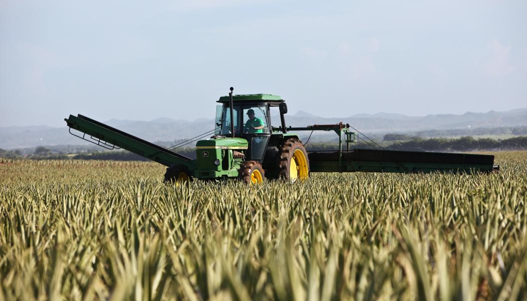 Stödet syftar till att främja en ökad produktion av biogas samtidigt som metangasutsläppen minskas. Foto: dietmar reichle/unsplash