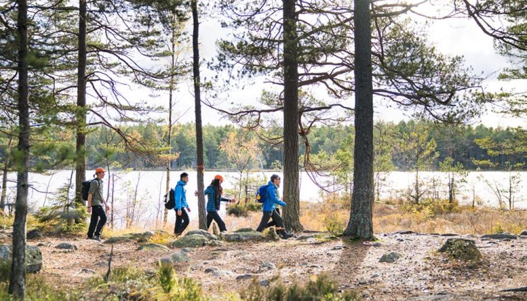 Foto: Friluftsfrämjandet