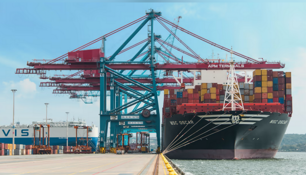 MSC Mediterranean Shipping Company har idag en direktlinje via APM Terminals Gothenburg till Asien. Foto: APM Terminals