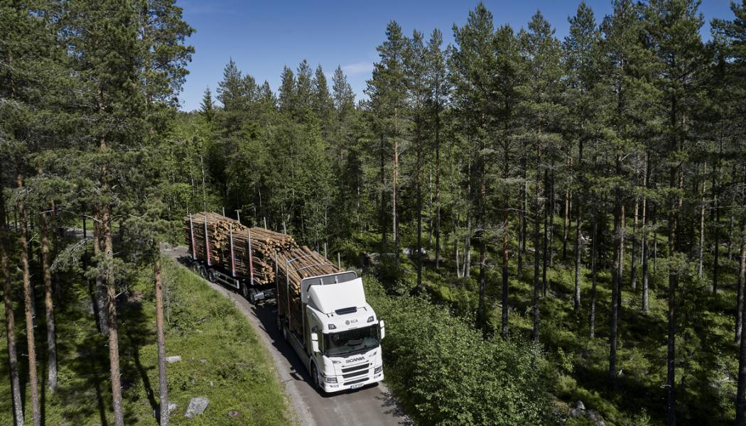 Skogsbrukets vägtransporter, timmerbilarna, ska elektrifieras i ett samarbete mellan Skogforsk, Scania, fem skogsbolag, flera transport- och teknikföretag samt forskningsaktörer. Foto: Scania