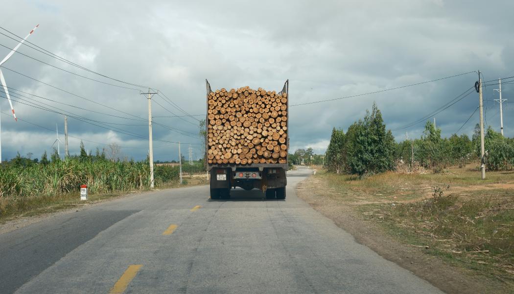 Lastbil transporterar timmer på landsväg. Foto: duc van / unsplash