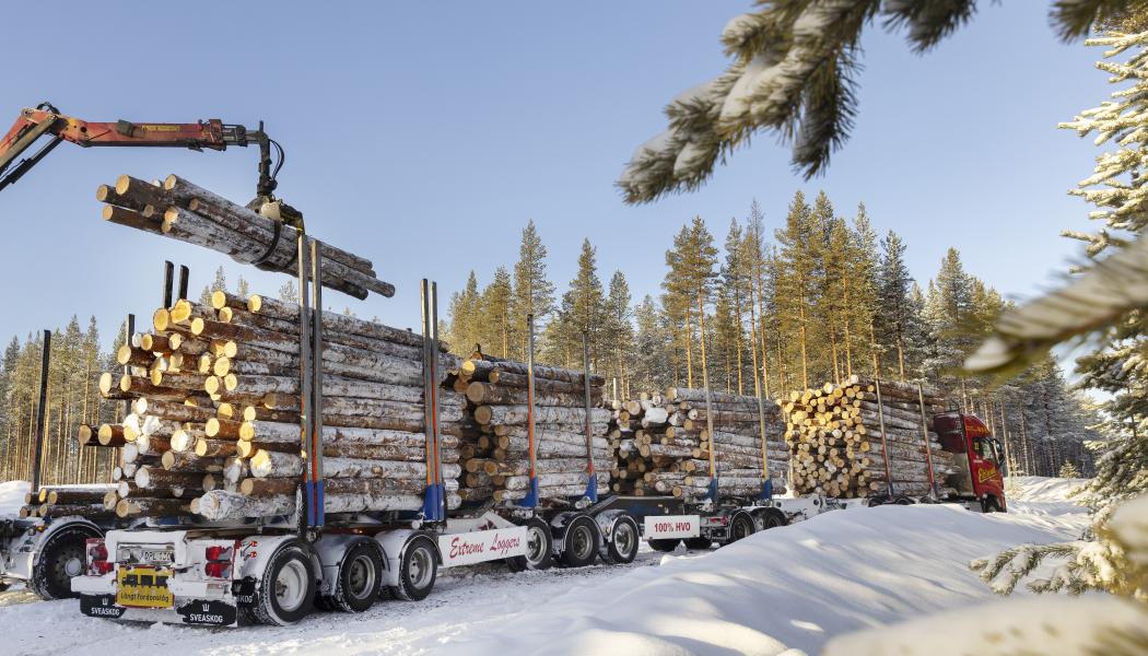 Nu växlas testerna med 90-tonslastbilar upp på vägarna i norra Sverige.  Foto: Sveaskog