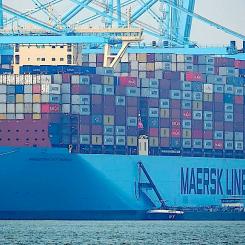 Maersks containerfartyg MAASTRICHT MAERSK i morgondimma i Rotterdams Europahamn. Foto: Wikipedia Common, Kredit: Kees Torn