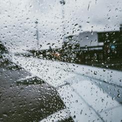 Arlanda. Foto: dzmitry dudov/unsplash