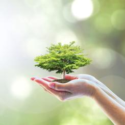 Foto: Shutterstock