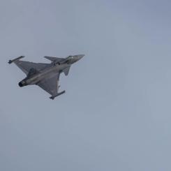 Gripen. Foto: Edoardo Bortoli/Unsplash