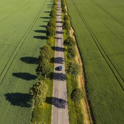Skåne tillhör de regioner som ligger i topp när det gäller användning av elfordon i offentliga fordonsflottor. Foto: Triztic Photography/Unsplash