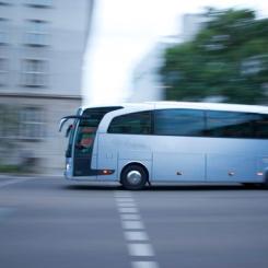 EU öppnar dörren för unga bussförare Foto: Transportföretagen