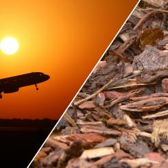 Forskarna jämförde tre metoder för att producera syntetisk metanol från biomassa: två förbränningsbaserade och en som bygger på förgasning. Fotograf: CC BY Gustavo Ramirez/CC0