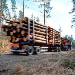 När tjällossningen kommer mjuknar marken och mindre vägar, ofta grusvägar, blir känsliga för tunga fordon. Det leder till bärighetsbegränsningar och kostsamma reparationer. Fotograf: Thomas Adolfsén