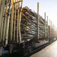 Banavgifterna för tunga godståg har ökat successivt och är nu bland de högsta i Europa, enligt EU-kommissionens senaste rapport. Foto: Norra Skog