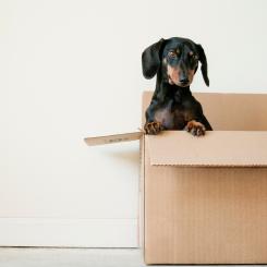 Foto: erda estremera/unsplash