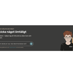 Boxon är en av de första aktörerna inom förpackningsindustrin att lansera en AI-bot Foto: Boxon