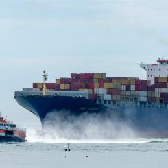 Containerfartyget MSC Yokohama passerar utanför stranden vid Vlissingen i Nederländerna Pim de Boer/Unsplash