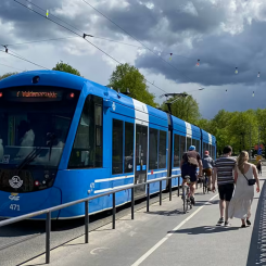 Iterio ska utreda visionen om ett bil- och fossilfritt Djurgården. Foto: Iterio