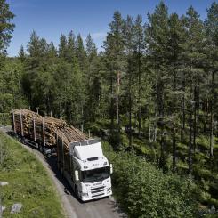 Skogsbrukets vägtransporter, timmerbilarna, ska elektrifieras i ett samarbete mellan Skogforsk, Scania, fem skogsbolag, flera transport- och teknikföretag samt forskningsaktörer. Foto: Scania