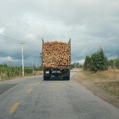 Lastbil transporterar timmer på landsväg. Foto: duc van / unsplash
