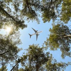 Stora planer på hållbart flygbränsle Foto: Adobe Stock