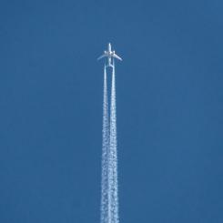 Uppdraget har varit att analysera både inhemsk produktion och import samt att föreslå konkreta åtgärder för att stärka tillgången och samordningen mellan berörda aktörer. Foto: Ben Klewais/Unsplash